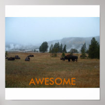 バッファロー素晴らしポスター