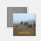 バッファロー素晴らしマグネット マグネット (正面/裏面)