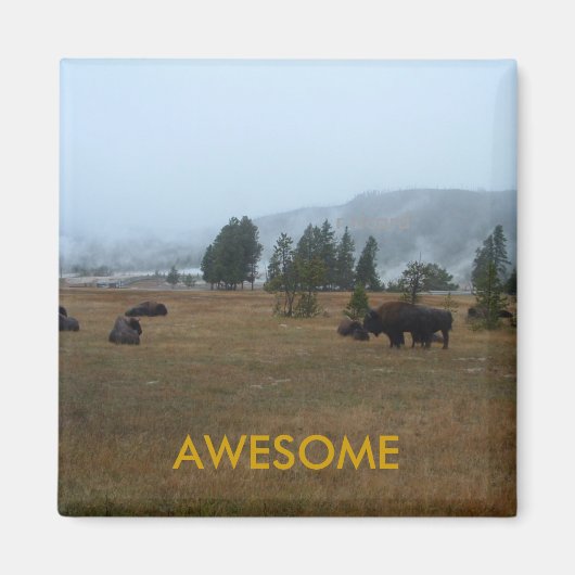 バッファロー素晴らしマグネット マグネット (正面)