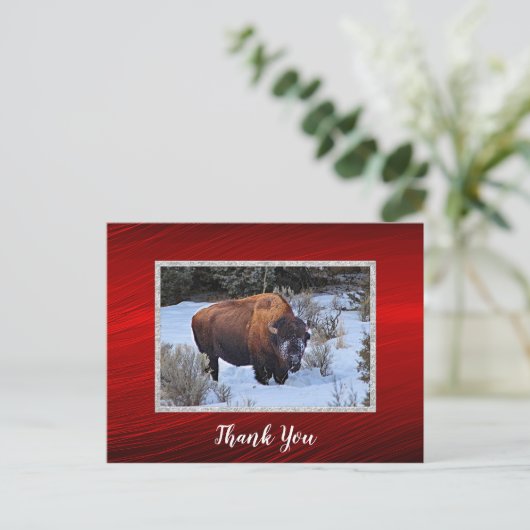 バッファロー雪写真ありがとう ポストカード (スタンド正面)
