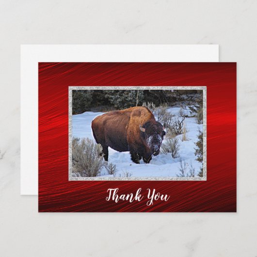 バッファロー雪写真ありがとう ポストカード (正面/裏面)