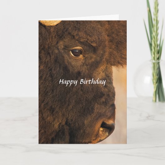 バッファロー2カードの両ユーモアのある端 カード (正面)