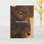 バッファロー2カードの両ユーモアのある端 カード (黄色い花)