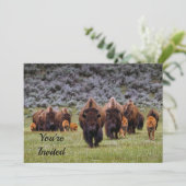 バッファロー2誕生日招待状 招待状 (スタンド正面)