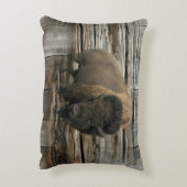 バッファロー アクセントクッション (裏面(縦))