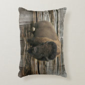 バッファロー アクセントクッション (正面(垂直))