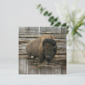 バッファロー カード (スタンド正面)