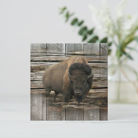 バッファロー カード (スタンド正面)