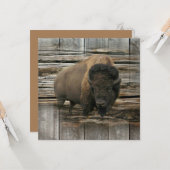 バッファロー カード (正面/裏面インサイチュ)