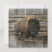 バッファロー カード (正面)