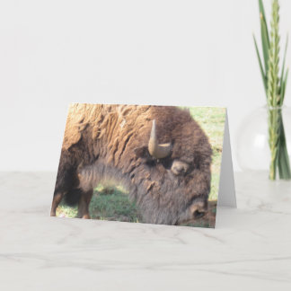 バッファロー カード