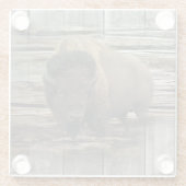 バッファロー ガラスコースター (裏面)