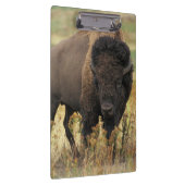 バッファロー クリップボード (右)