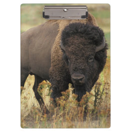 バッファロー クリップボード