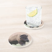 バッファロー コースター (側面)