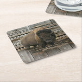 バッファロー スクエアペーパーコースター (アングル)