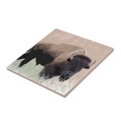 バッファロー タイル (側面)