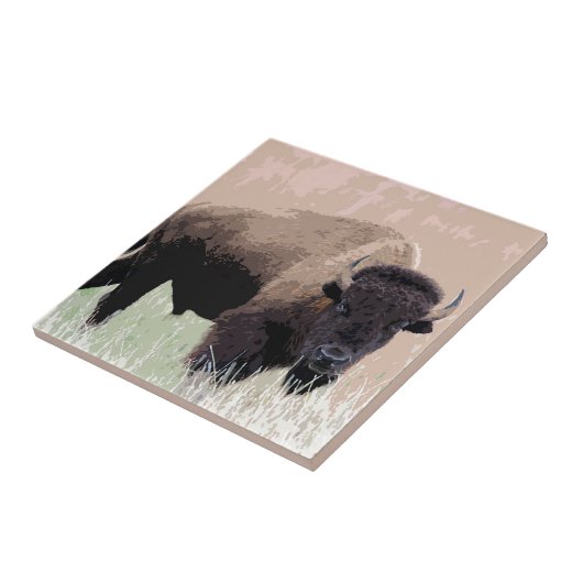 バッファロー タイル (側面)