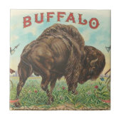 バッファロー タイル (正面)