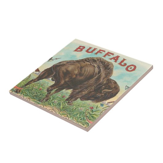 バッファロー タイル (側面)