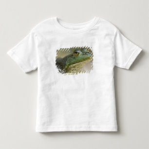 バッファロー・ナショナル・リバー, アーカンソー州北西部 トドラーTシャツ
