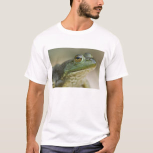 バッファロー・ナショナル・リバー, アーカンソー州北西部 Tシャツ