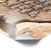 バッファロー フォトプリント            (角)