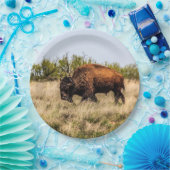 バッファロー ペーパープレート (パーティー)