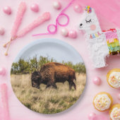 バッファロー ペーパープレート (パーティー)