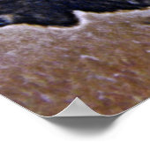 バッファロー ポスター (角)