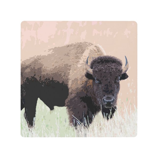 バッファロー メタルプリント (正面)