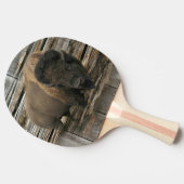 バッファロー 卓球ラケット (横)