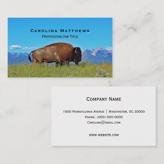 バッファロー 名刺 (正面/裏面)