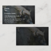 バッファロー 名刺 (正面/裏面)