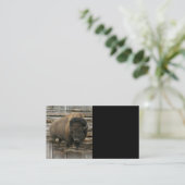 バッファロー 名刺 (スタンド正面)