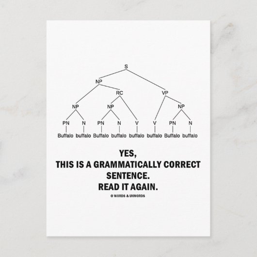 バッファロー(8回)文法的に正しい文 ポストカード (正面)