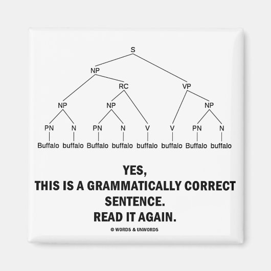 バッファロー(8回)文法的に正しい文 マグネット (正面)