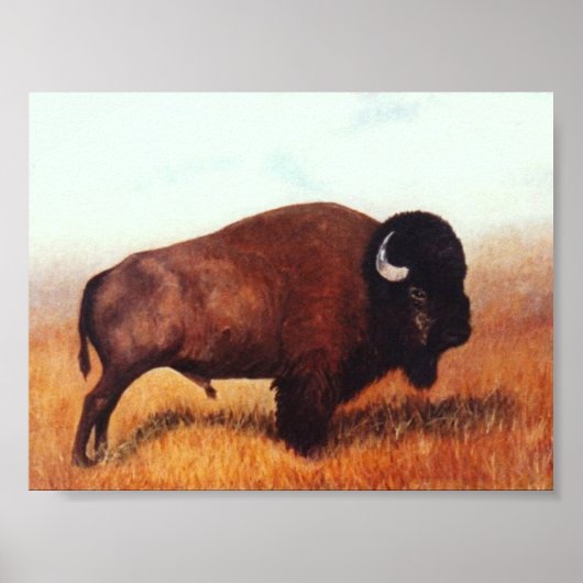 バッファローIII ポスター (正面)