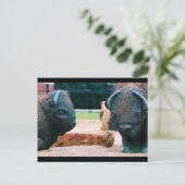 バッファローNY ポストカード (スタンド正面)