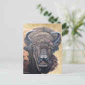 バッファロ食べ ポストカード (スタンド正面)