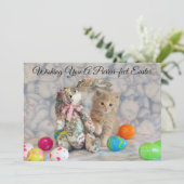 バッフィントンのイースターバニー - 猫 - フラットカード シーズンカード (スタンド正面)