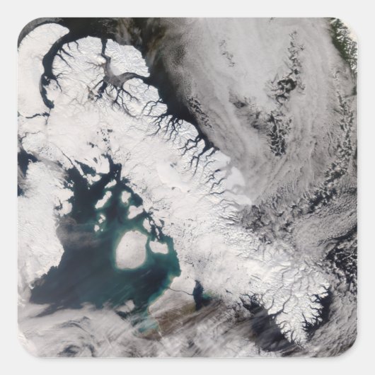 バッフィン島 スクエアシール (正面)