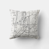 バテービアイリノイ1871の地図のキツネリバー・バレー クッション (裏面)