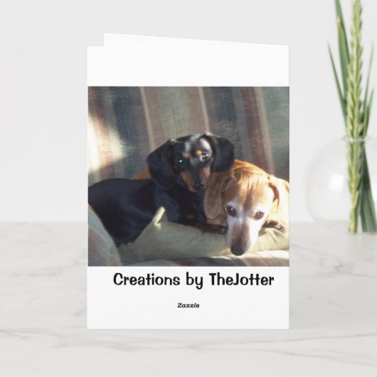 バディカード カード (裏面)