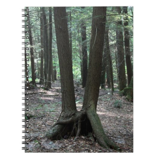 バディツリーズノートブック ノートブック (正面)