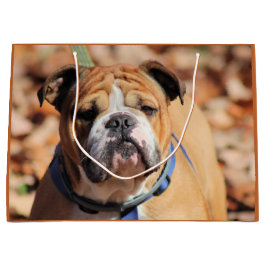 バディブルドッグ抱き枕 ラージペーパーバッグ