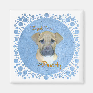 バディブルー マグネット