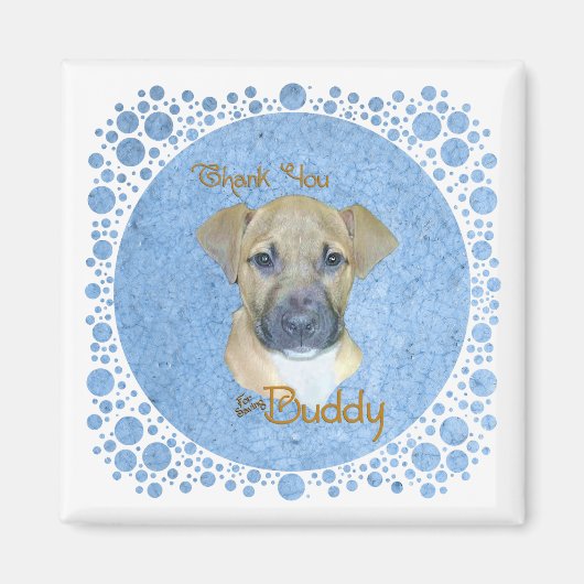 バディブルー マグネット (正面)