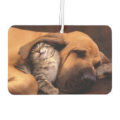 バディーズ空気清浄機 カーエアーフレッシュナー (裏面)