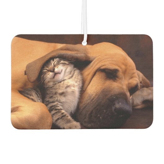 バディーズ空気清浄機 カーエアーフレッシュナー (正面)